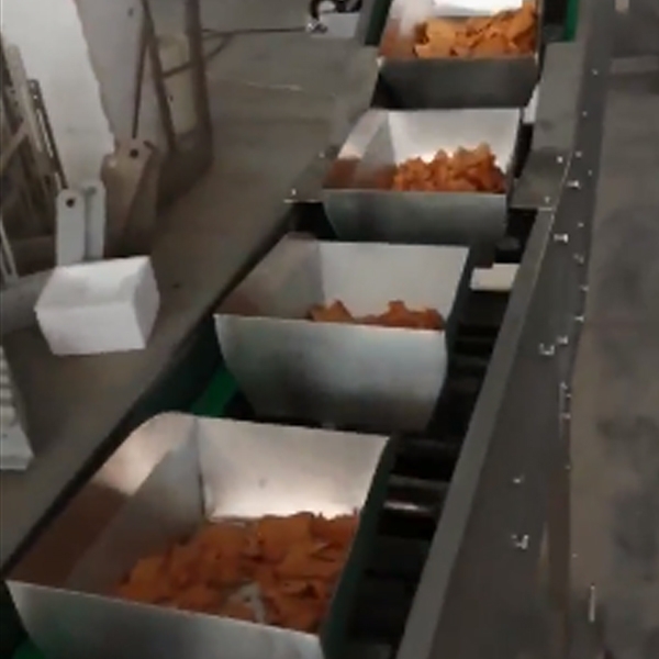 Chips conveying and packing