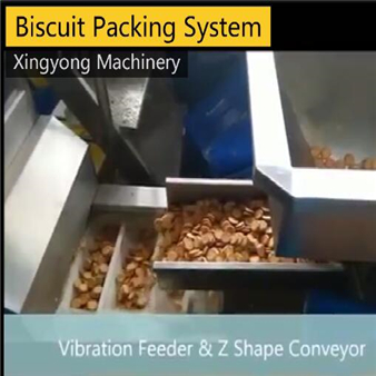 Biscuit packing system