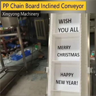 PP chain board inclined conveyor