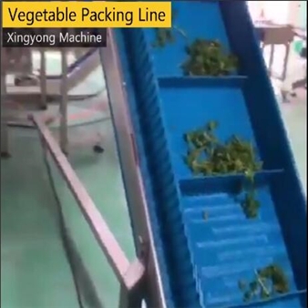 vegetable packaging