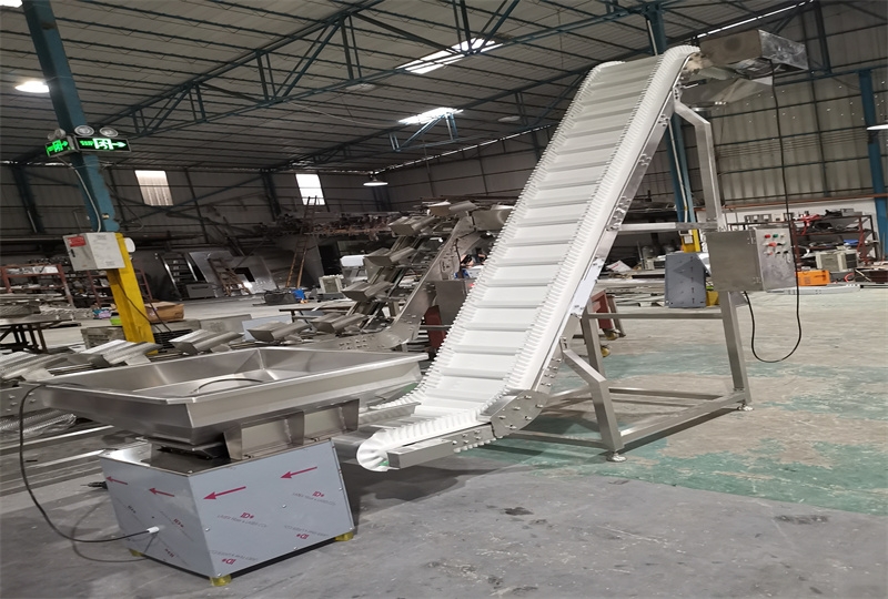 Skirt Chain Plate Inclined Conveyor